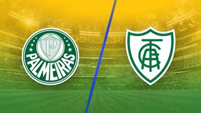 Palmeiras vs. America Mineiro